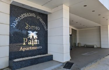 Элитная квартира у башни Алфавит! (PALM APARTMENTS)
